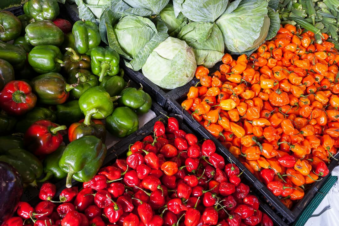 Bona Markets vendor showcase 2